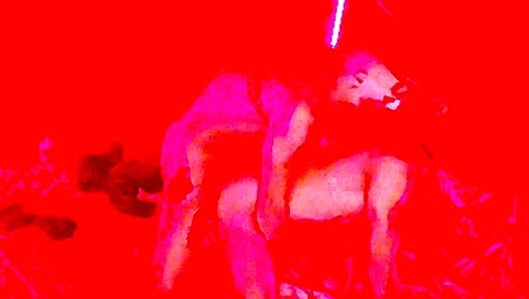 3 Devils And A Cocky Guy Arranged A Gangbang In An Abandoned