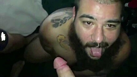 Homcub Staying Over