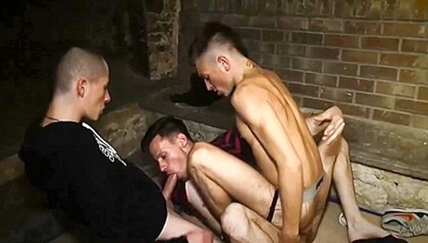 Mancunt Breeders