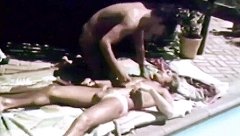 The Frenchman And The Lovers (1979)