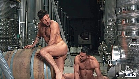 Chardogay Paddy Obrian, Manuel Reyes