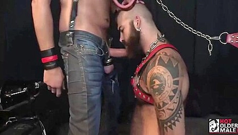 Gus Kox And Jonah Fontana (ditd )